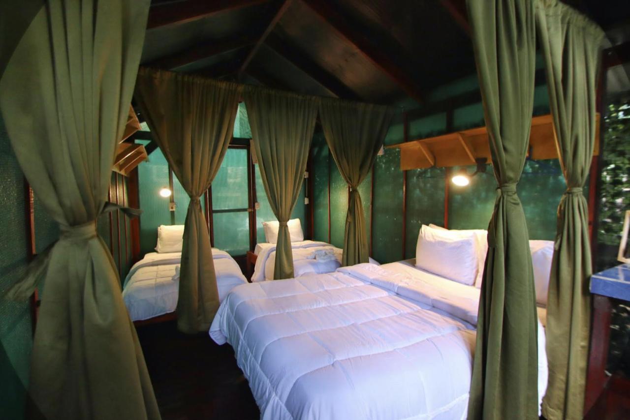 Jungle's Edge Hotel 3*