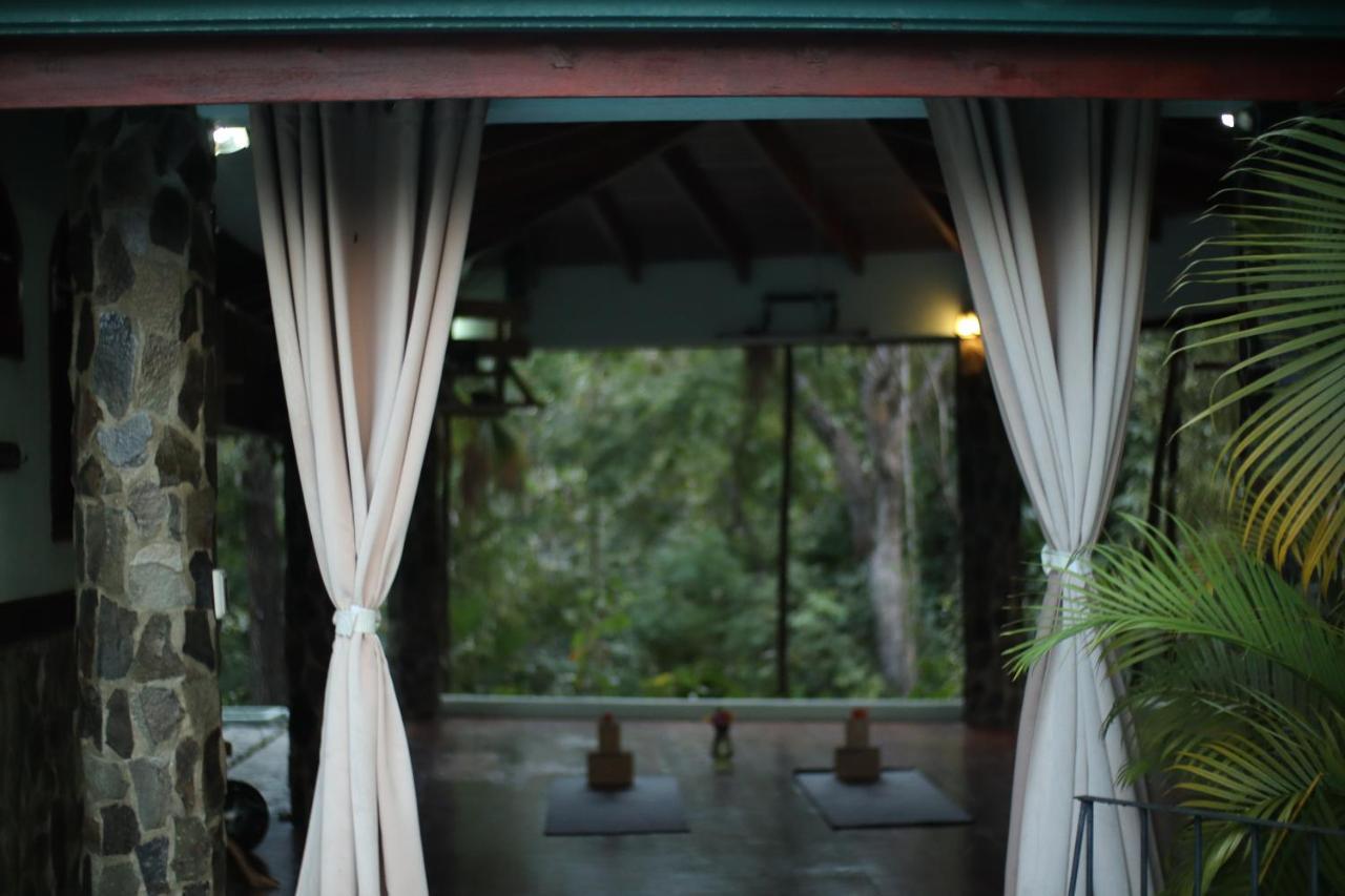 Jungle's Edge 3*