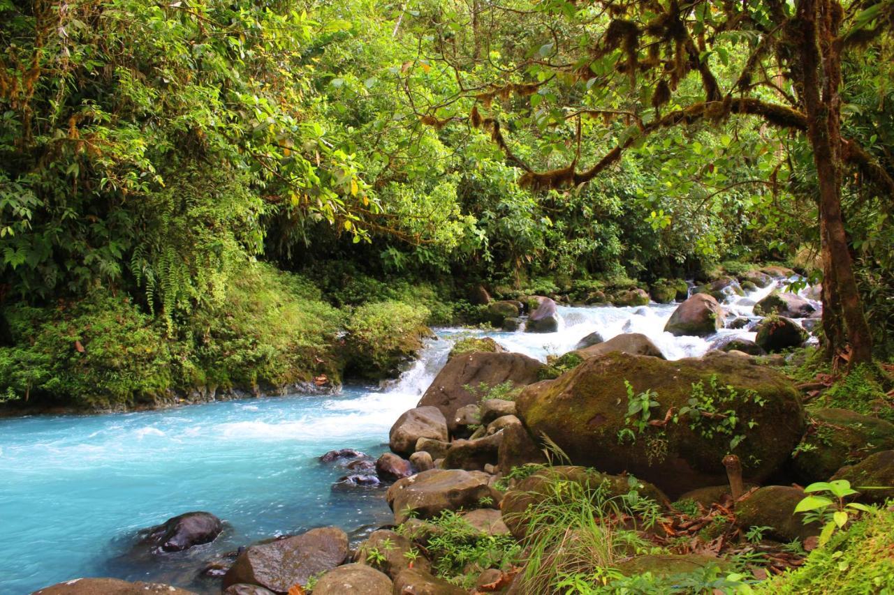 Apartment Rio Celeste Nature View *