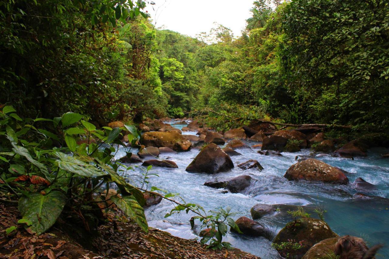 Rio Celeste Nature View