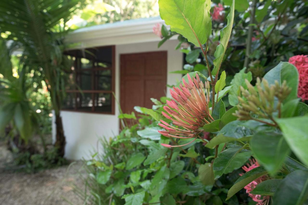 Jungle's Edge Hotel