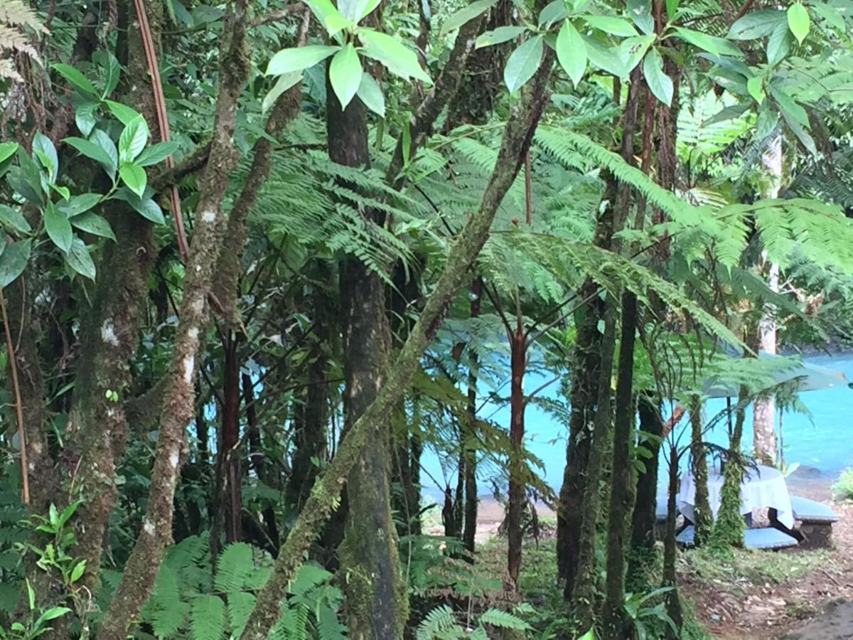 Cabinas Piuri Rio Celeste