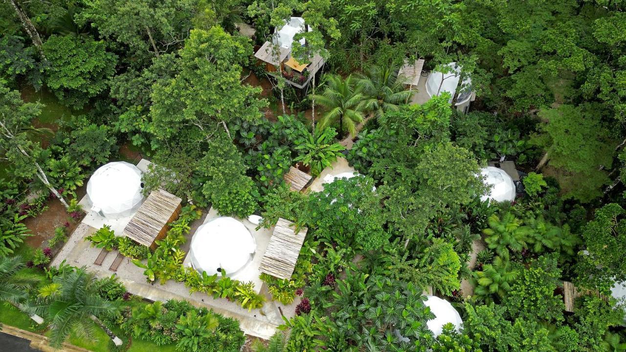 Hotel Palo Alto Glamping Quesada (Alajuela)