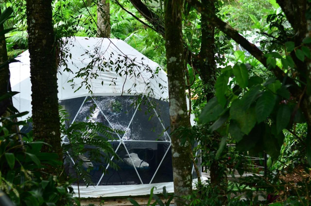 Palo Alto Glamping Hotel Quesada (Alajuela)