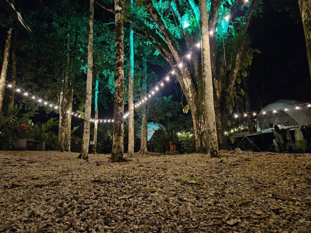 Palo Alto Glamping Quesada (Alajuela)