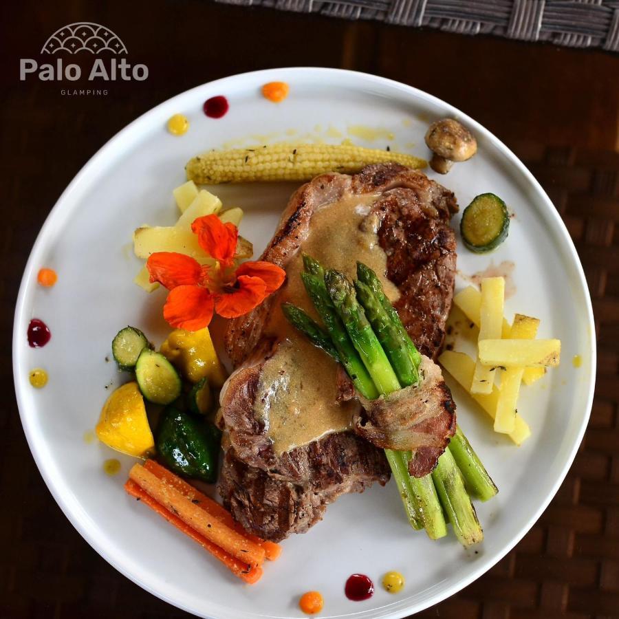 Hotel Palo Alto Glamping Quesada (Alajuela)