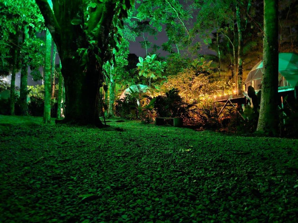 Palo Alto Glamping Hotel *