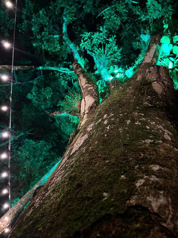 Palo Alto Glamping * Quesada (Alajuela)