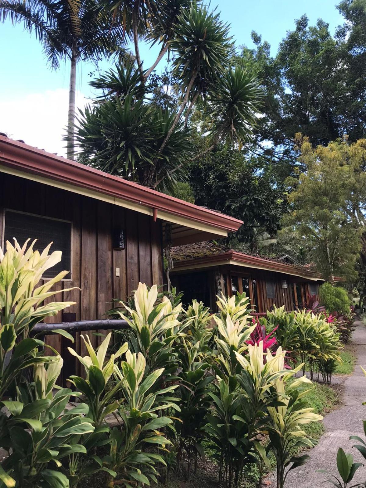 Kokoro Mineral Hot Springs Hotel La Fortuna