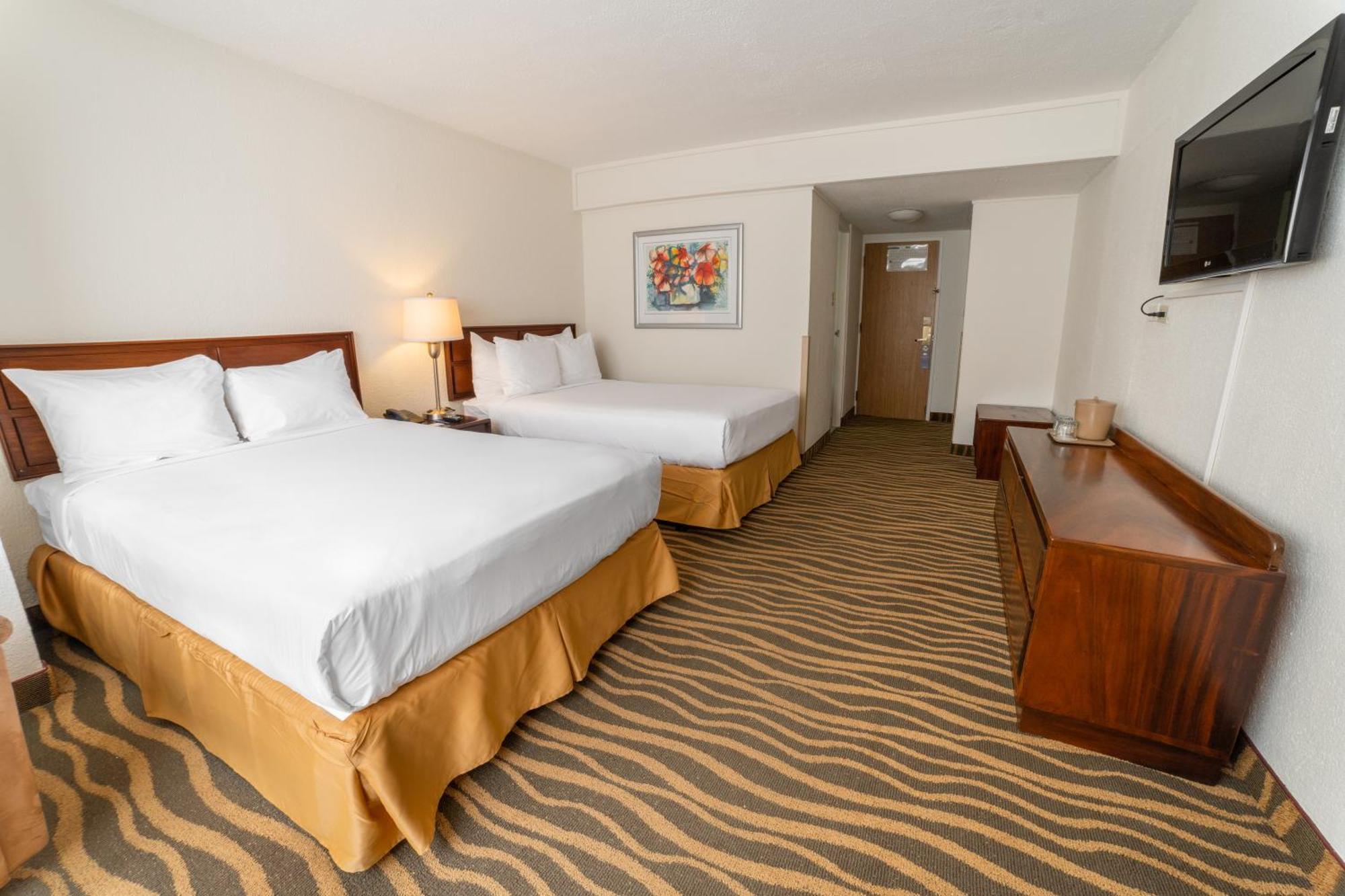 Hotel Irazu &