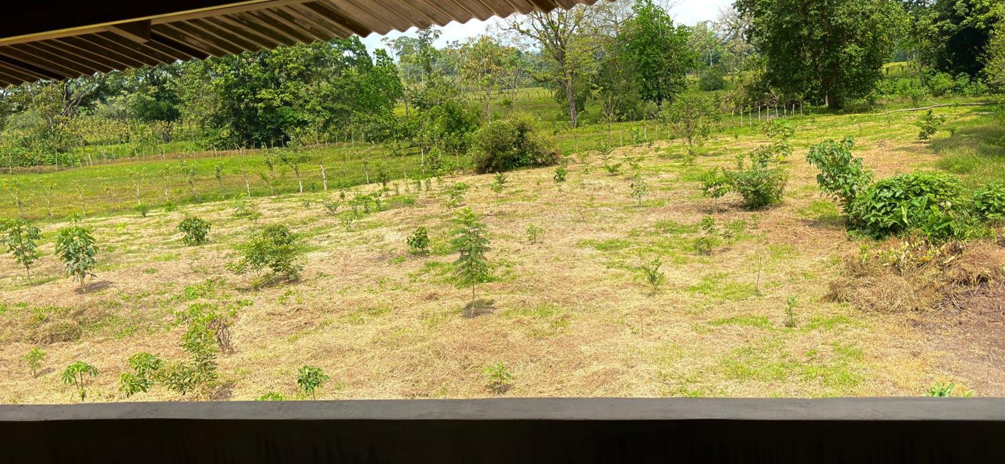 Arenal Monara La Fortuna