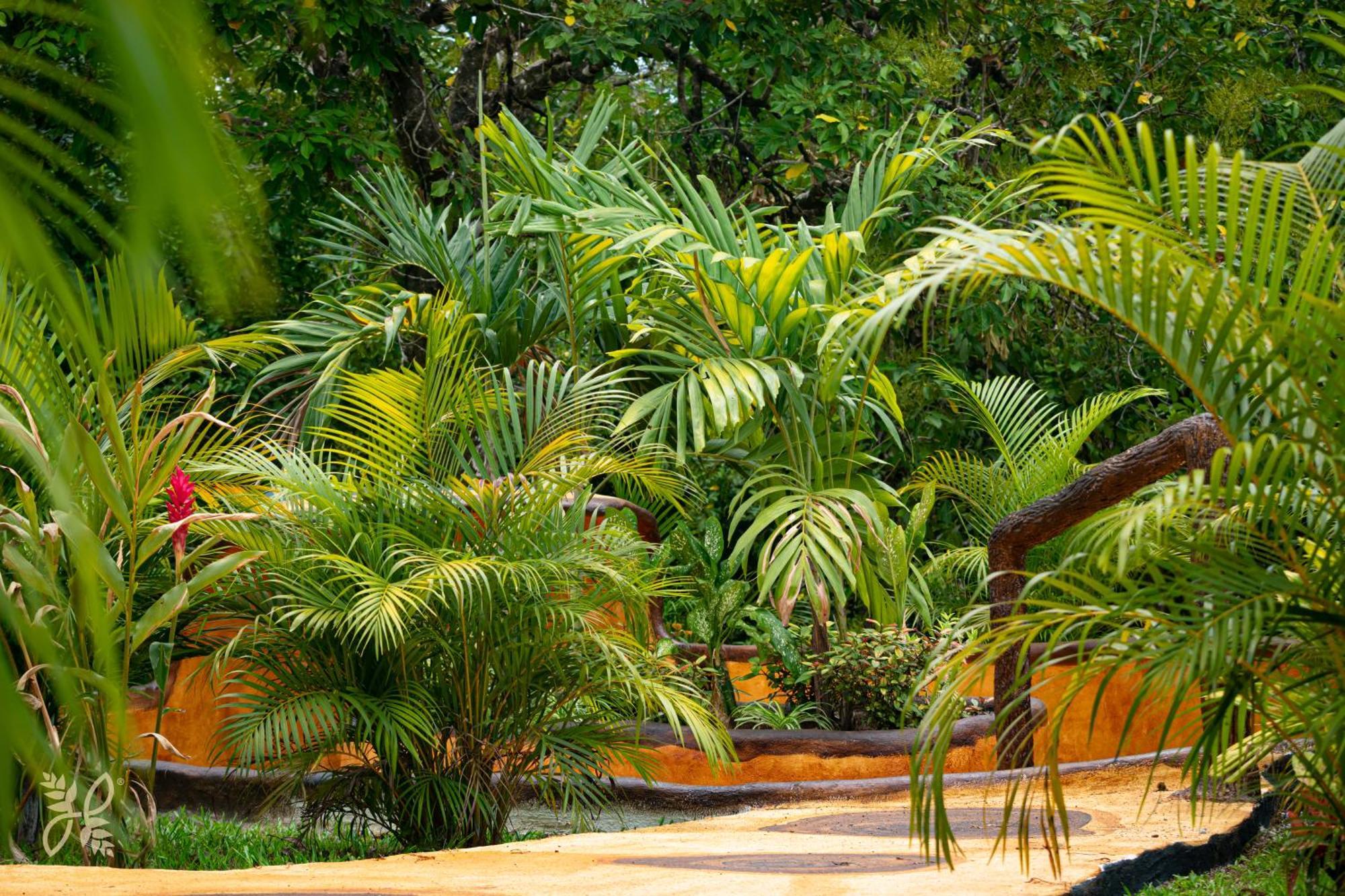 Heliconias Nature & Hot Springs La Fortuna