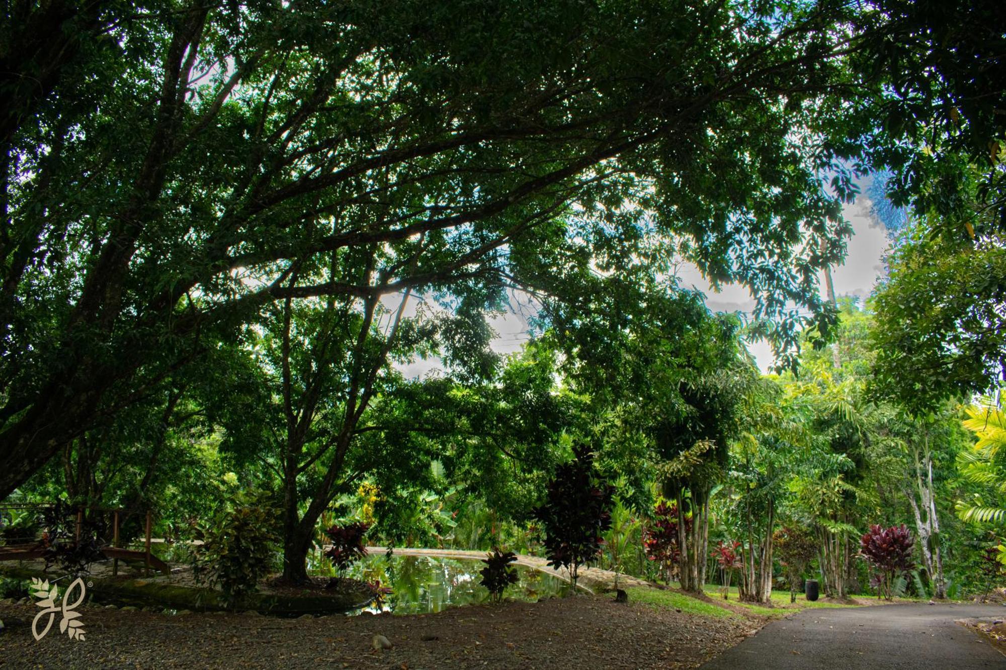 Hotel Heliconias Nature & Hot Springs 4*