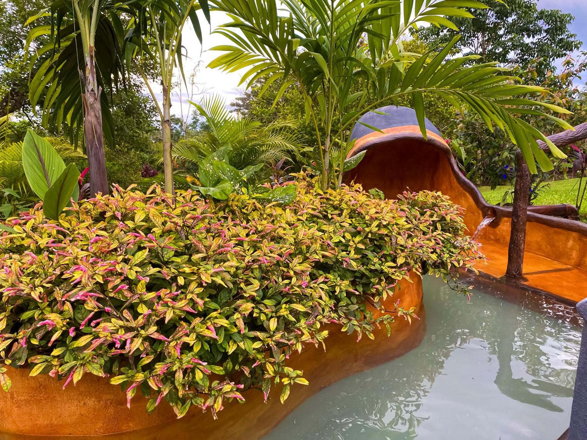 Heliconias Nature & Hot Springs Hotel