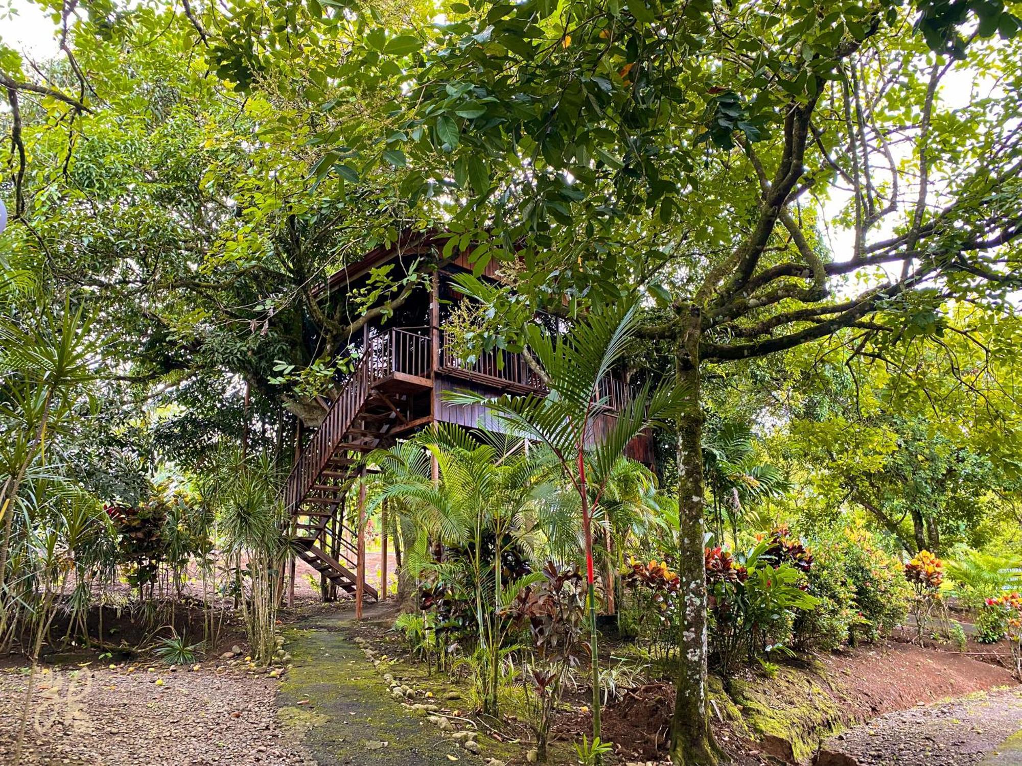 Heliconias Nature & Hot Springs Hotel La Fortuna
