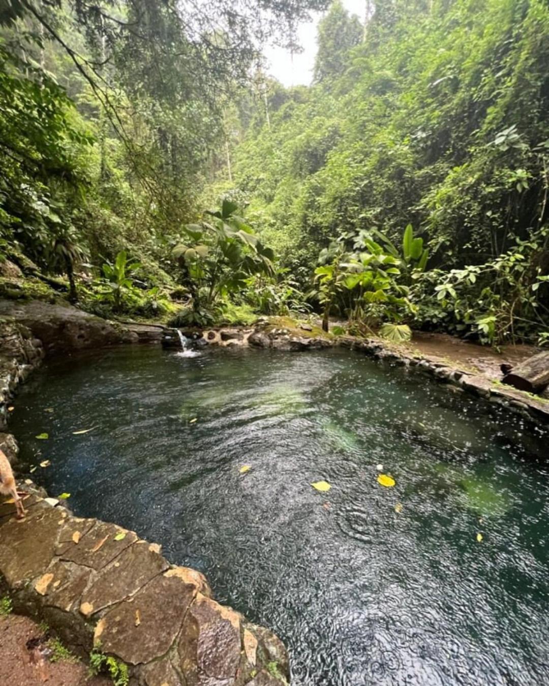 Lodge Princesa De La Luna La Fortuna