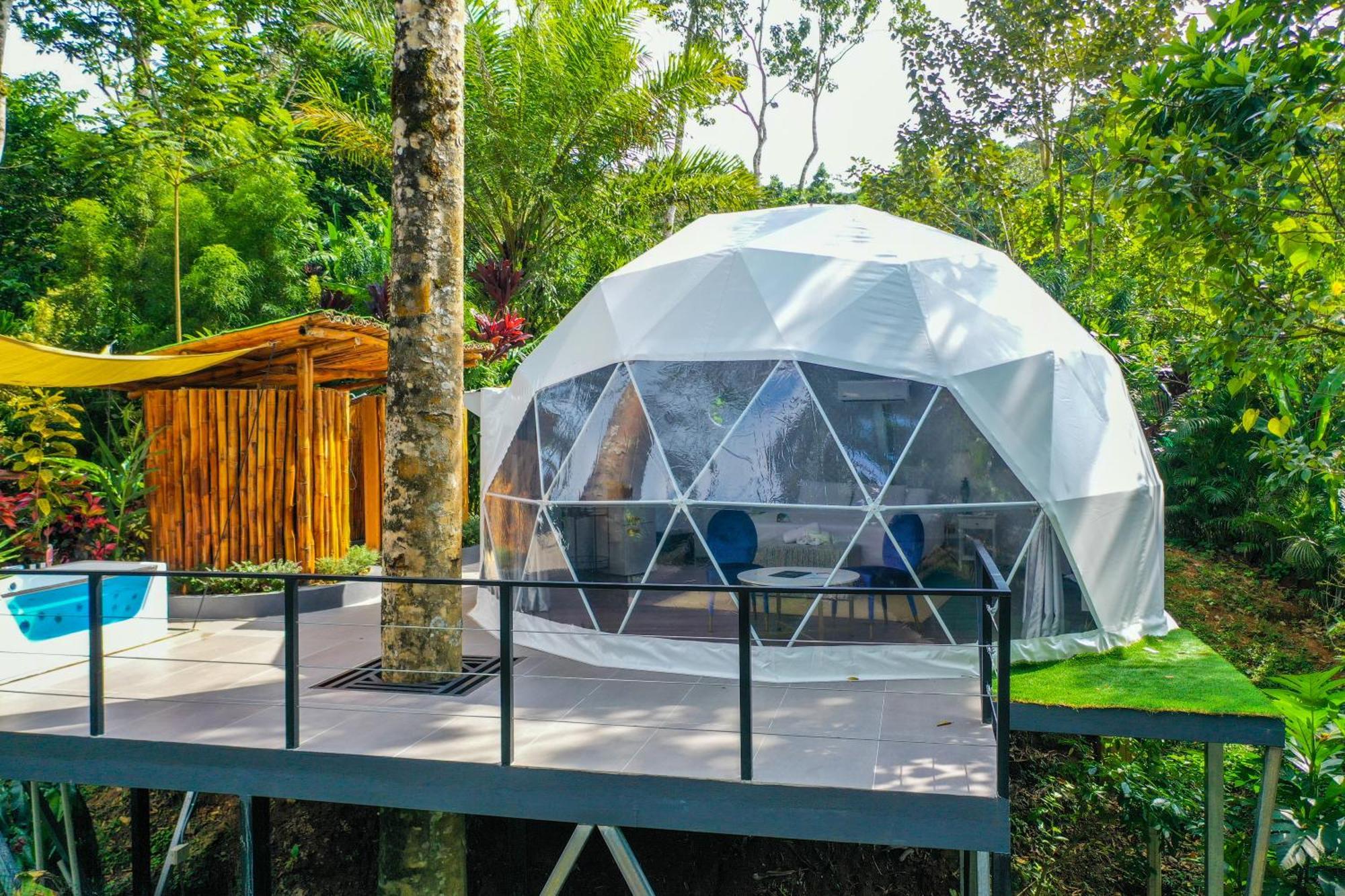 Palo Alto Glamping