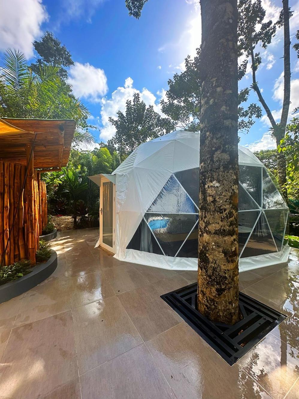 Hotel Palo Alto Glamping Quesada (Alajuela)