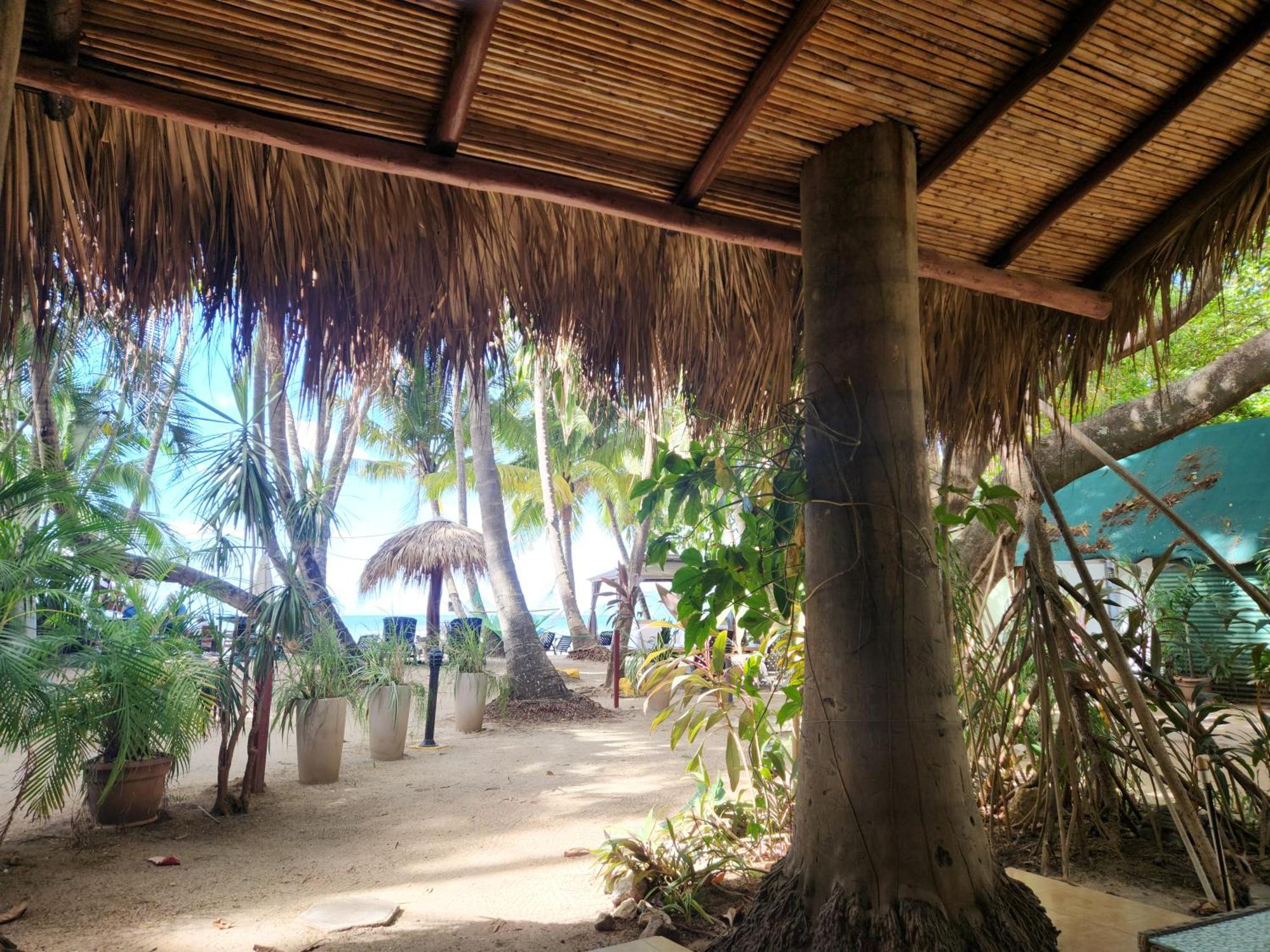 Hotel La Palapa Tamarindo