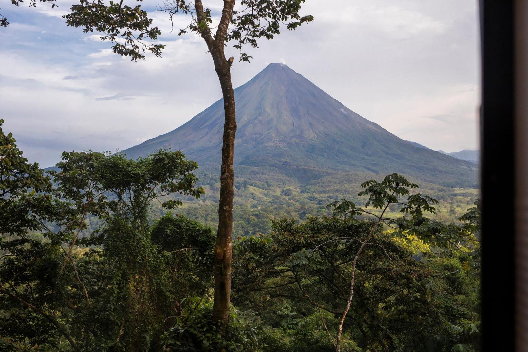 Sangregado La Fortuna
