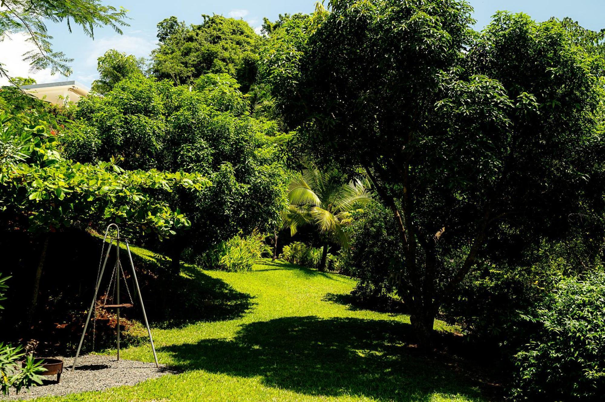 Bed & Breakfast Casa Laureles