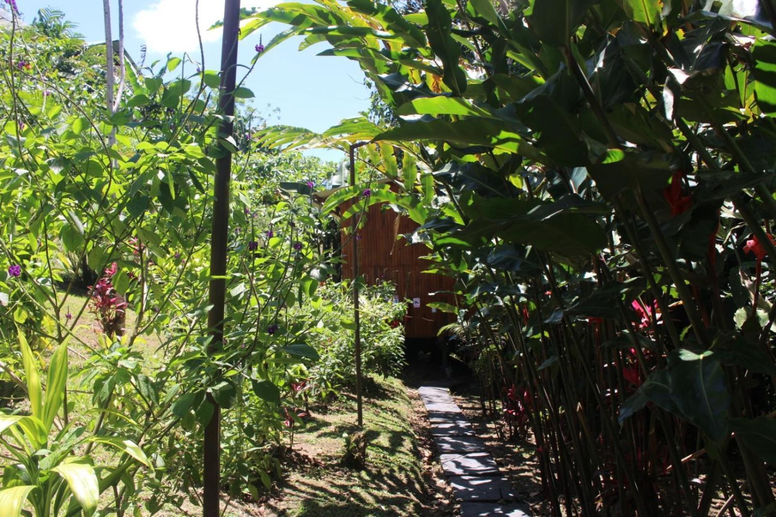 Casa Torre Eco- * La Fortuna