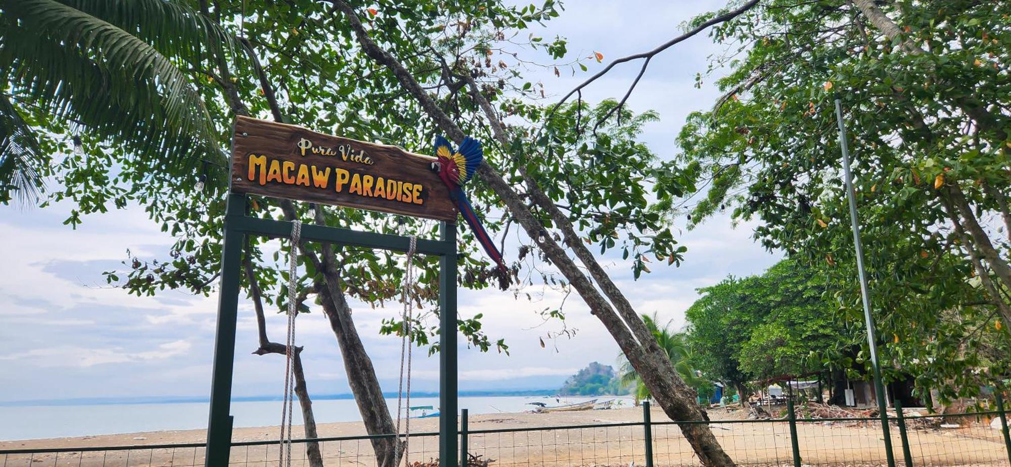 Macaw Paradise Jaco