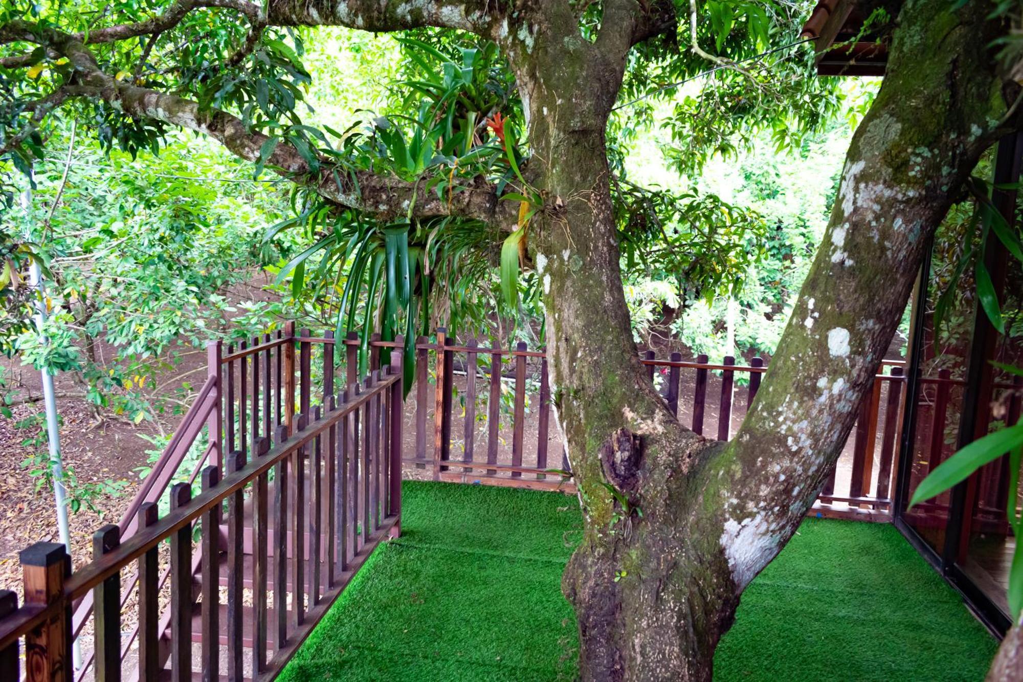 Heliconias Nature & Hot Springs