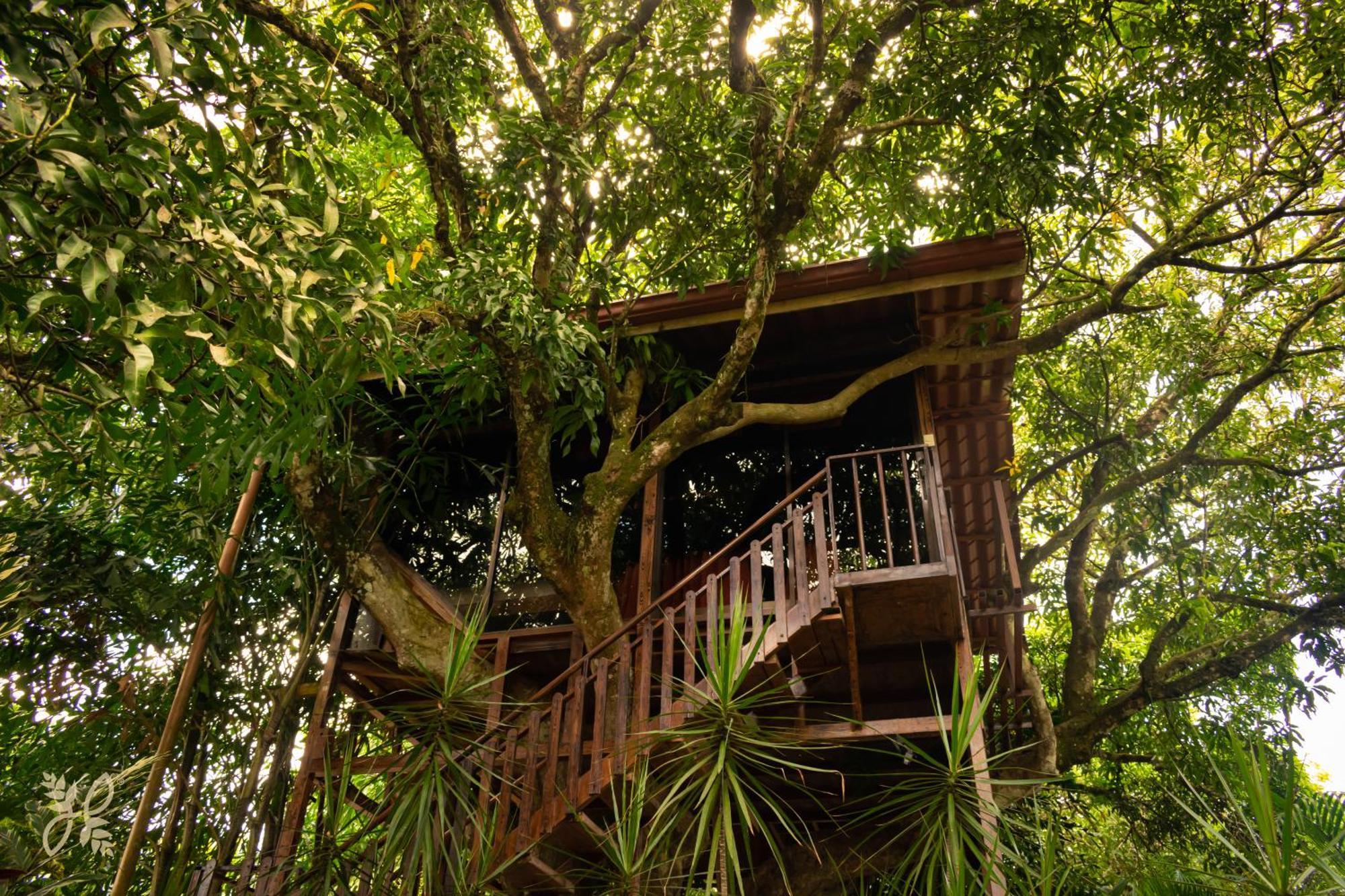 Heliconias Nature & Hot Springs Hotel
