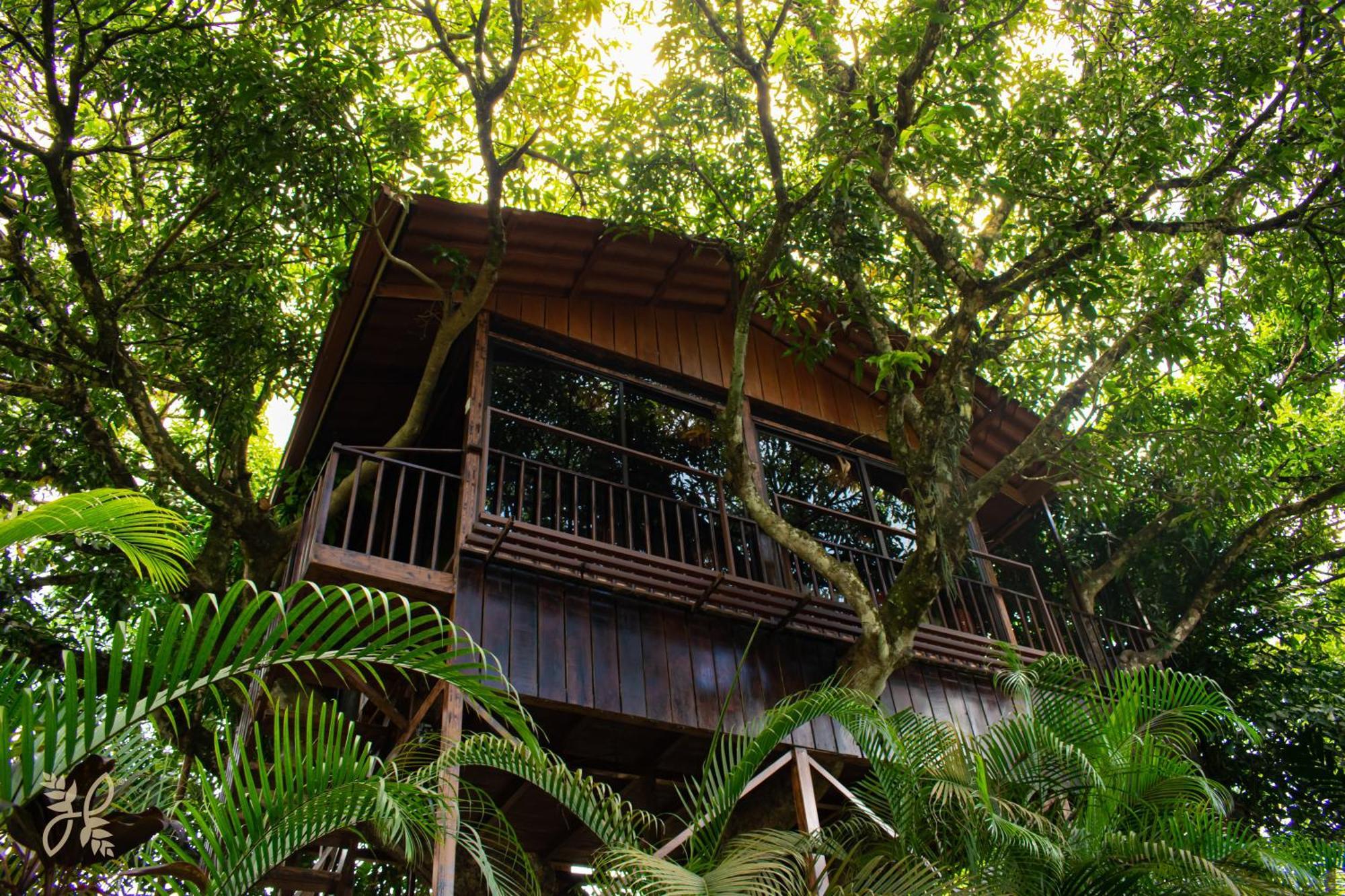 Hotel Heliconias Nature & Hot Springs 4*