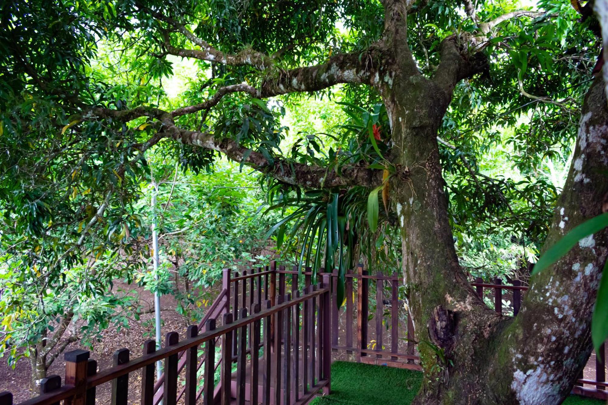 Heliconias Nature & Hot Springs 4*