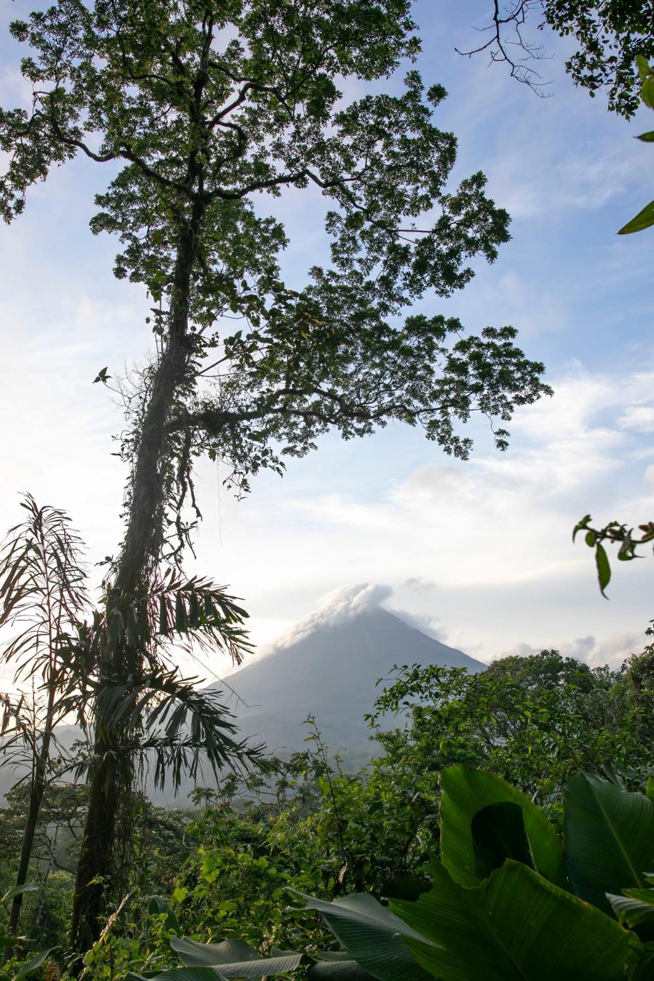 Sangregado * La Fortuna