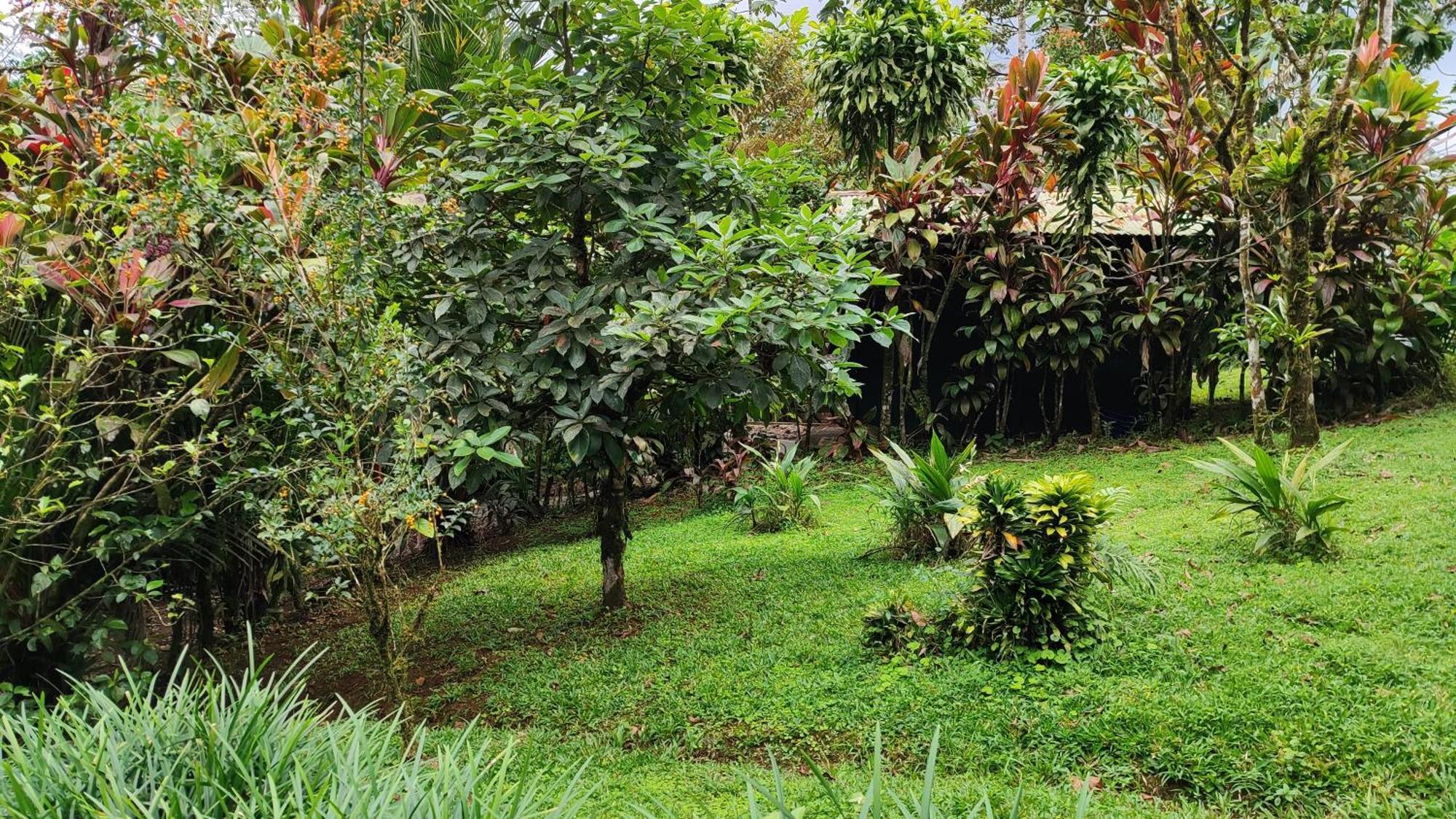 Rio Celeste Nature View *