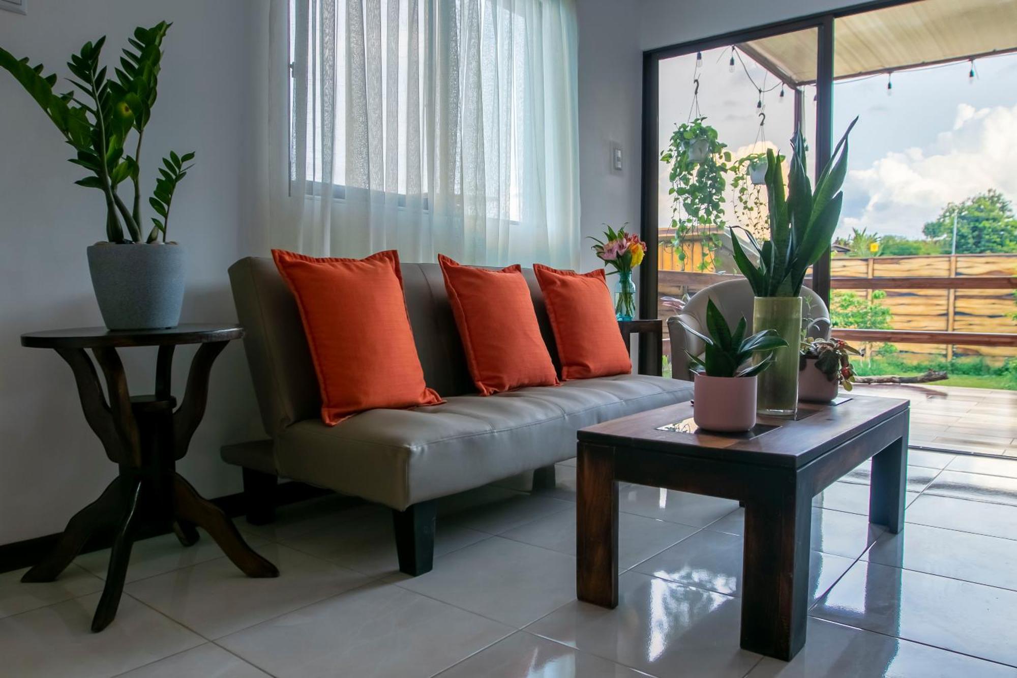 Palmera-fortuna Villa La Fortuna