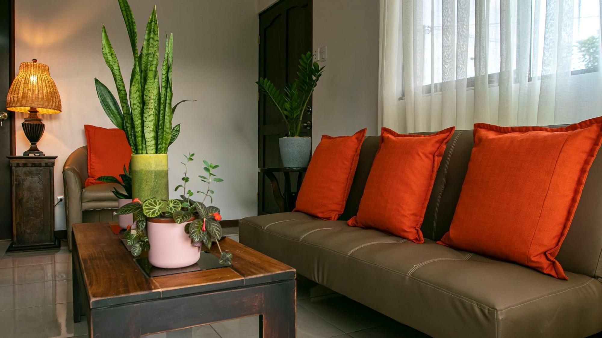 Palmera-fortuna Villa *