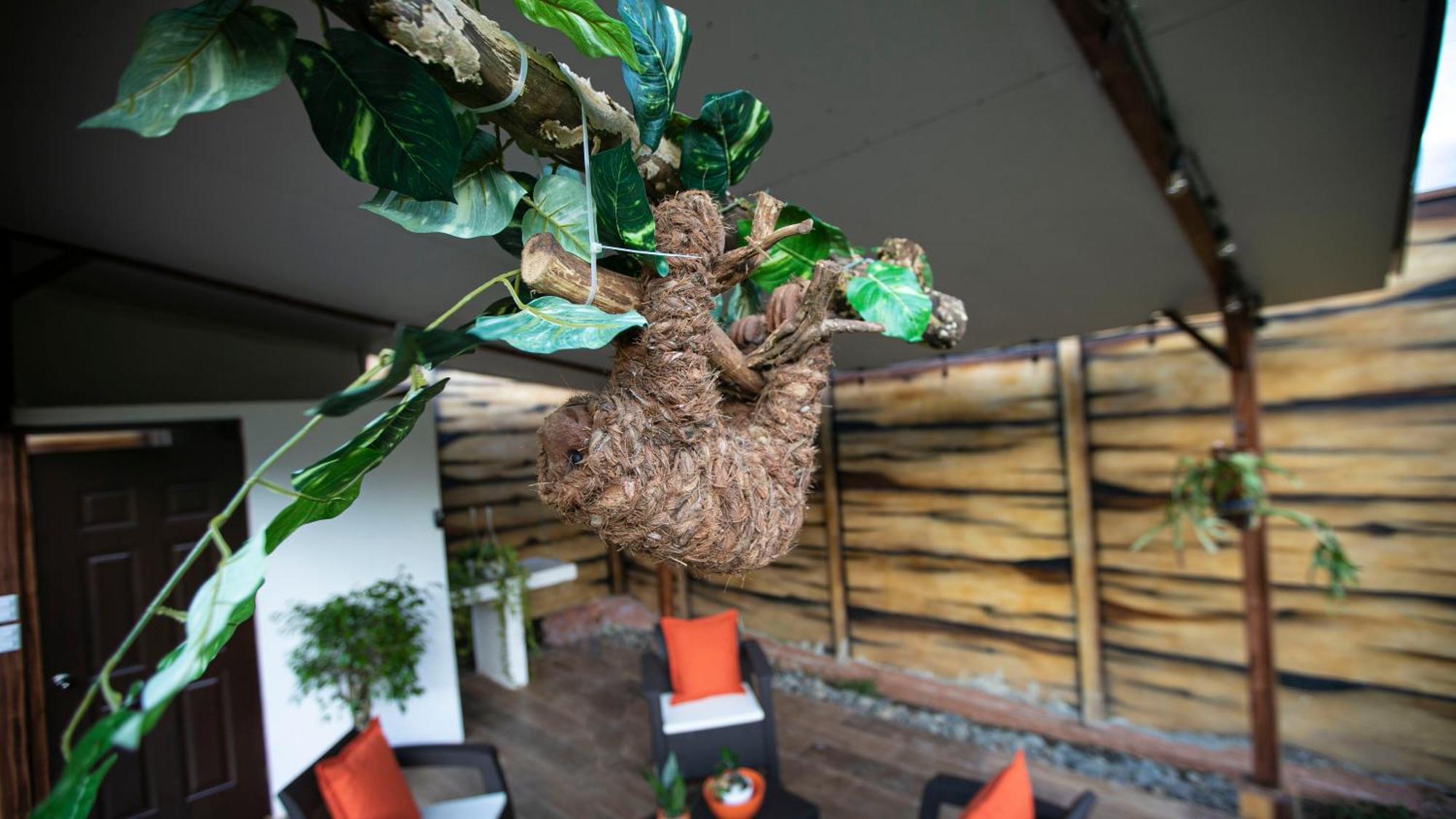 Palmera-fortuna Villa *
