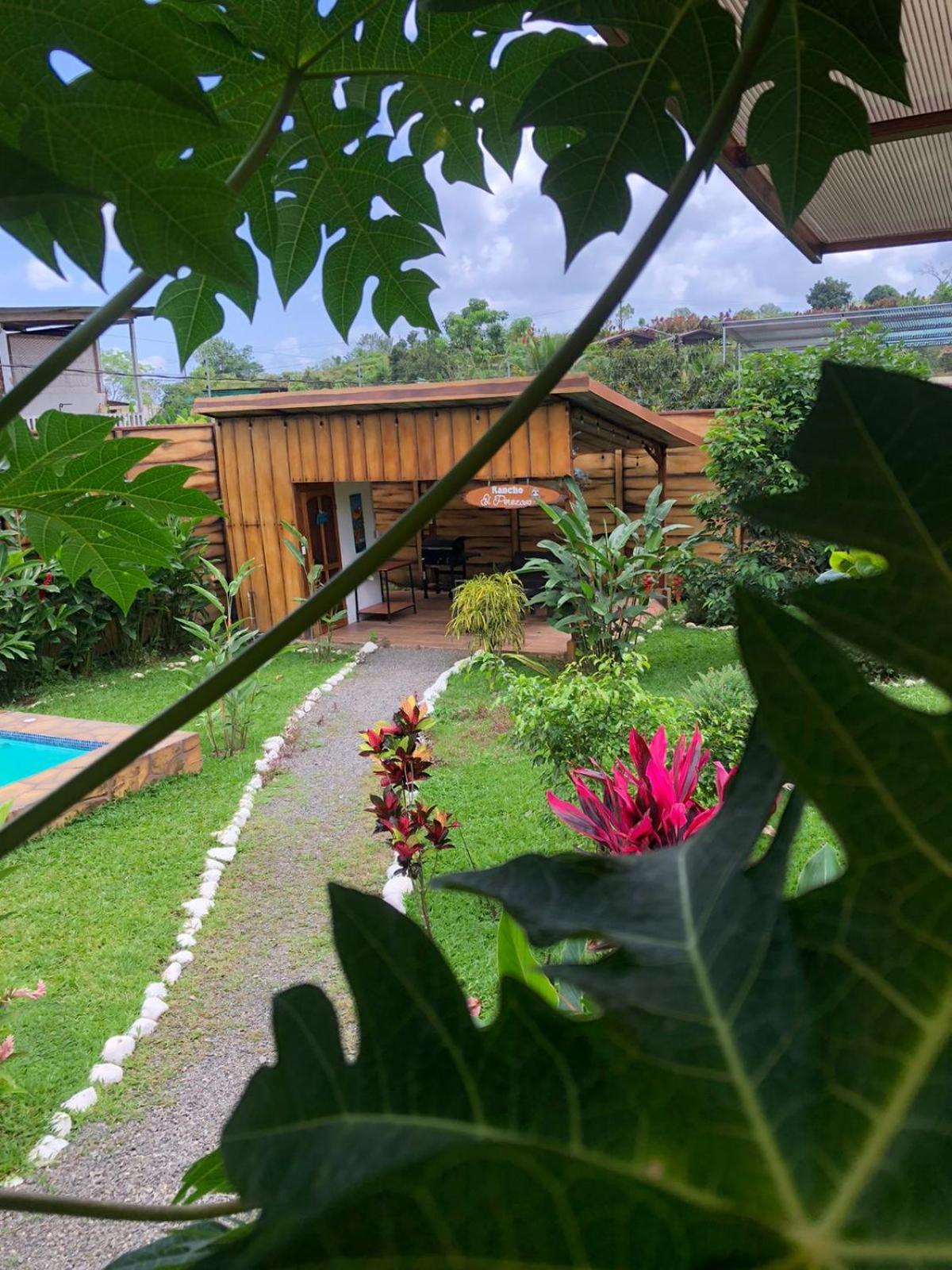Villa Palmera-fortuna La Fortuna