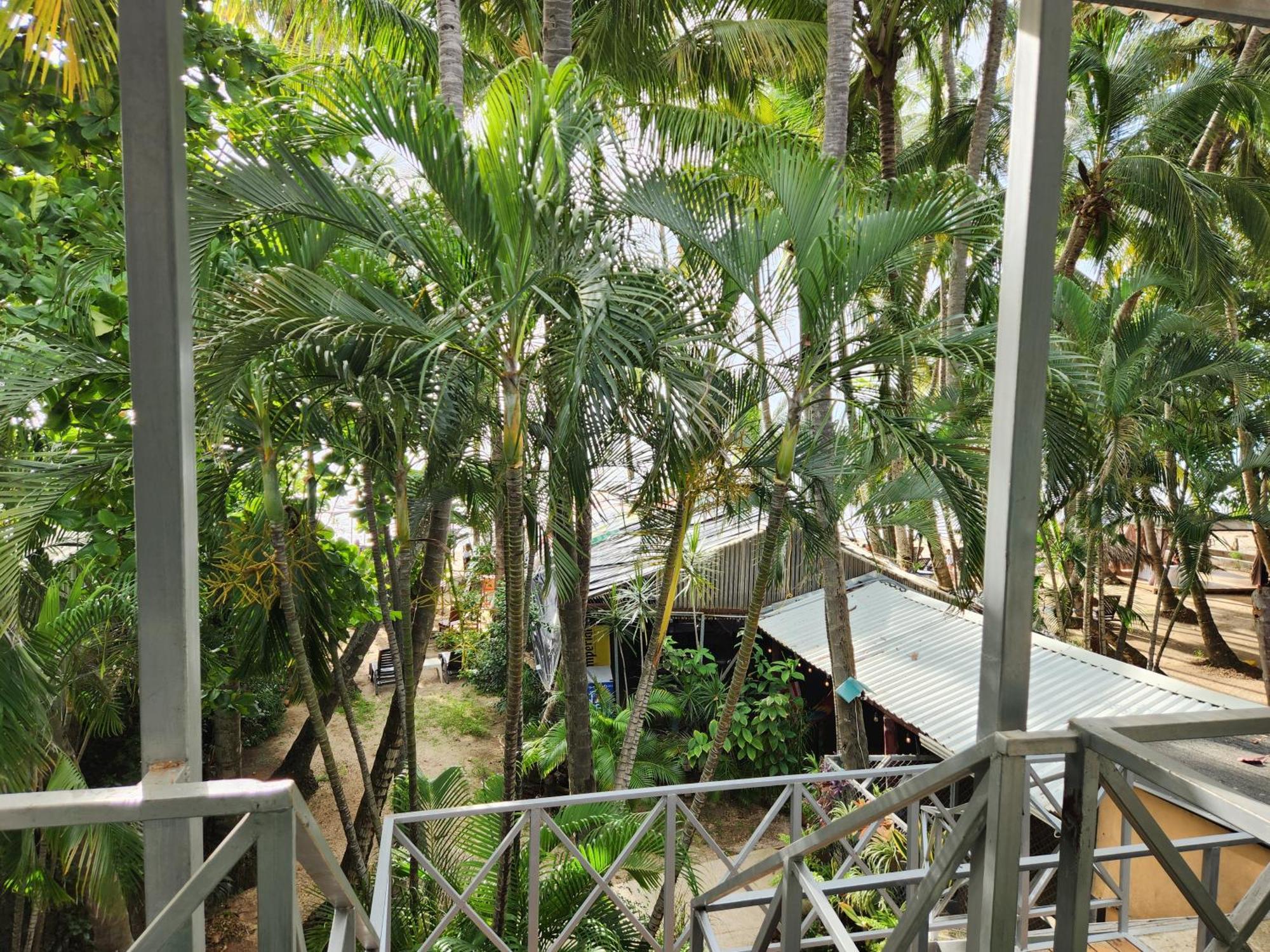 La Palapa Hotel 3*