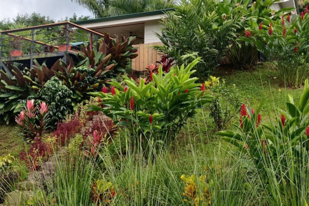 Villa Casa Lluvia *