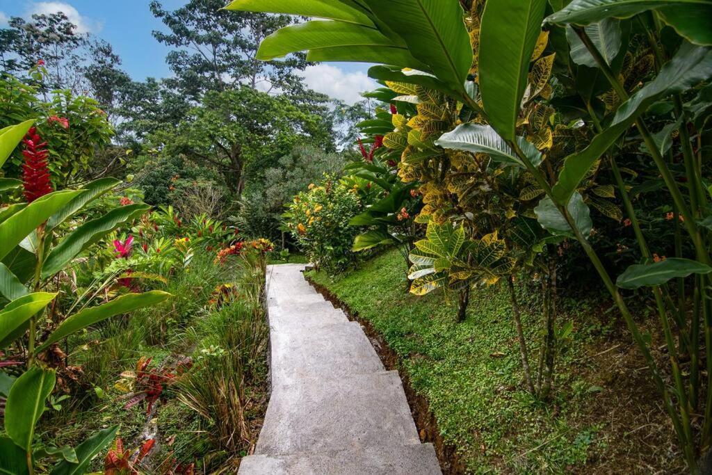 Casa Lluvia Villa *