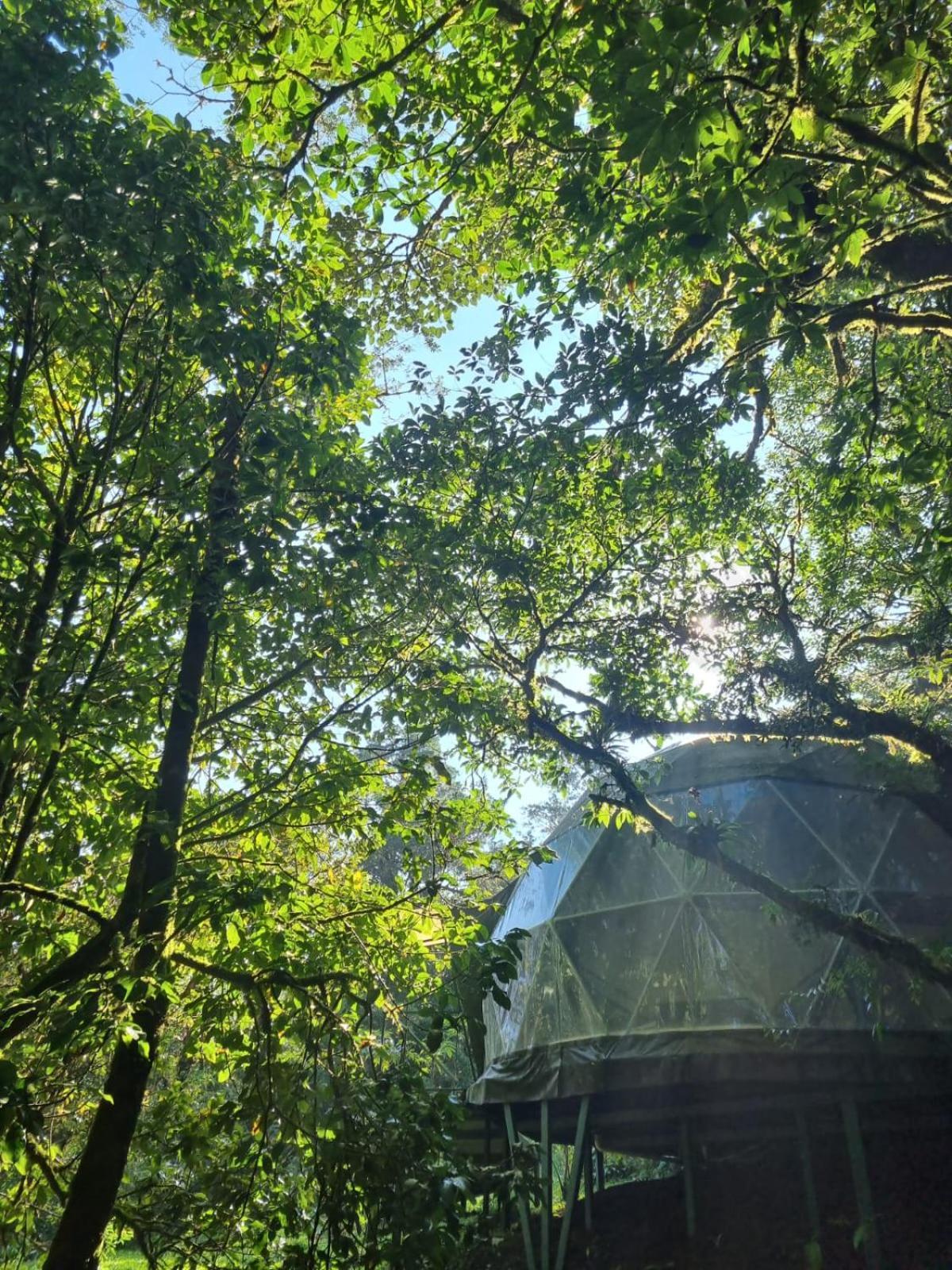 Refugio La Paz Ecoglamping