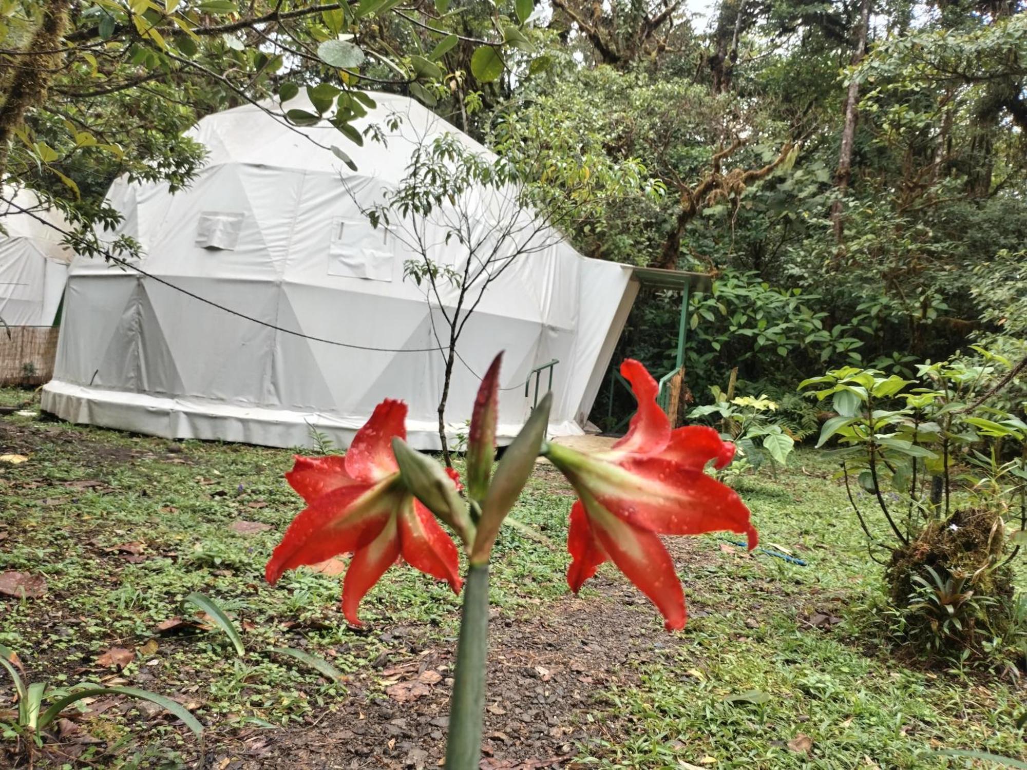 Capsule hotel Refugio La Paz Ecoglamping San Ramon (Alajuela)