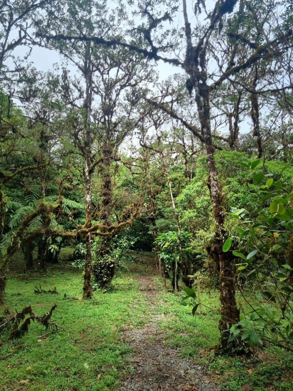Refugio La Paz Ecoglamping Capsule hotel San Ramon (Alajuela)
