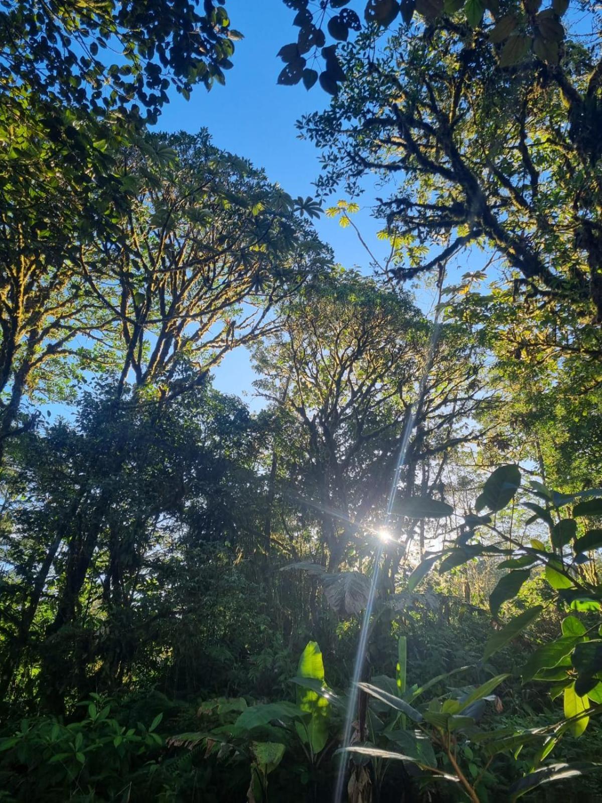 Refugio La Paz Ecoglamping San Ramon (Alajuela)