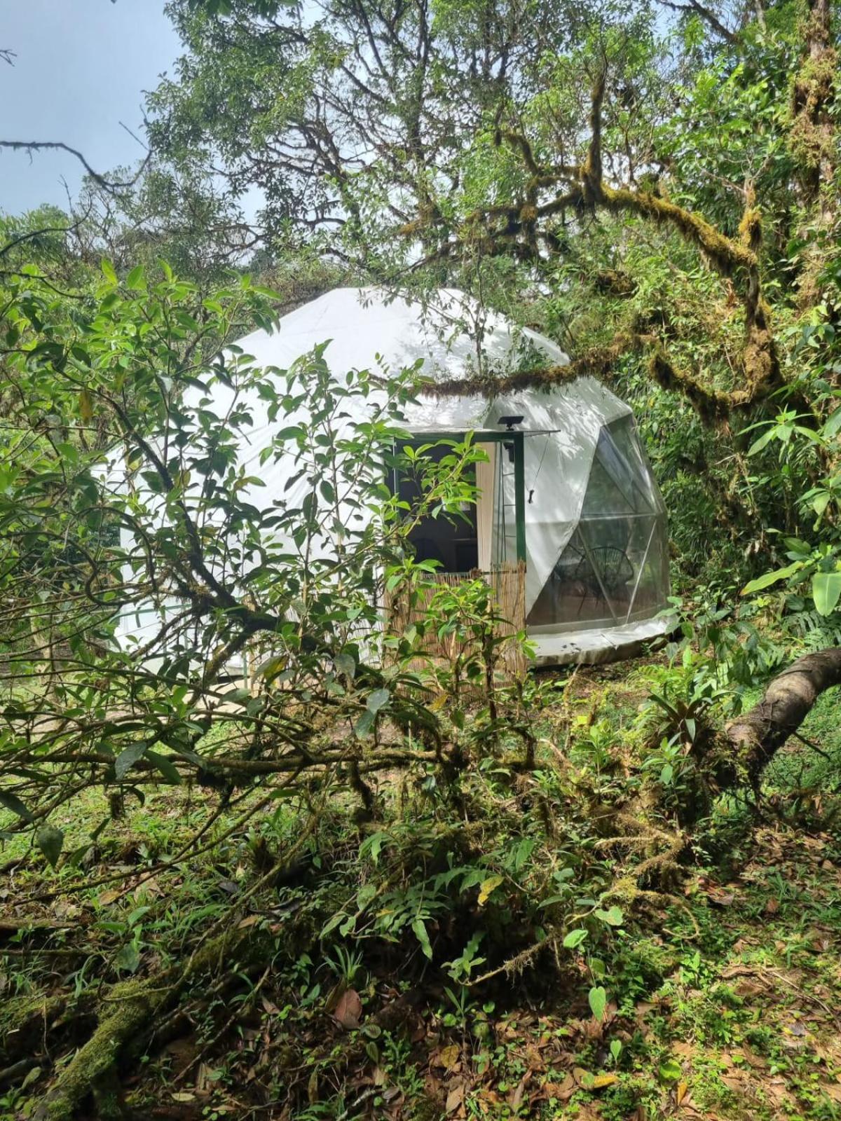 Refugio La Paz Ecoglamping Capsule hotel *