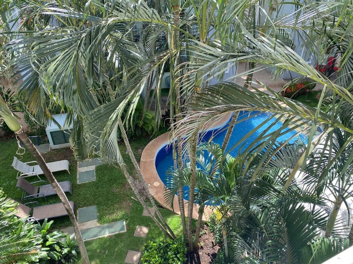 Surf For 6 Guests, Swimming Pool, Near The Tamarindo