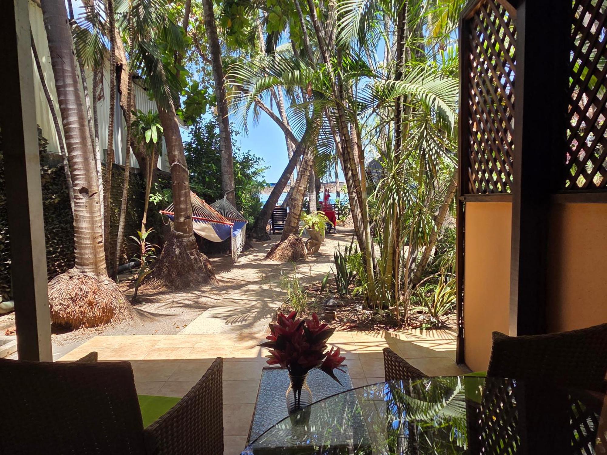 La Palapa