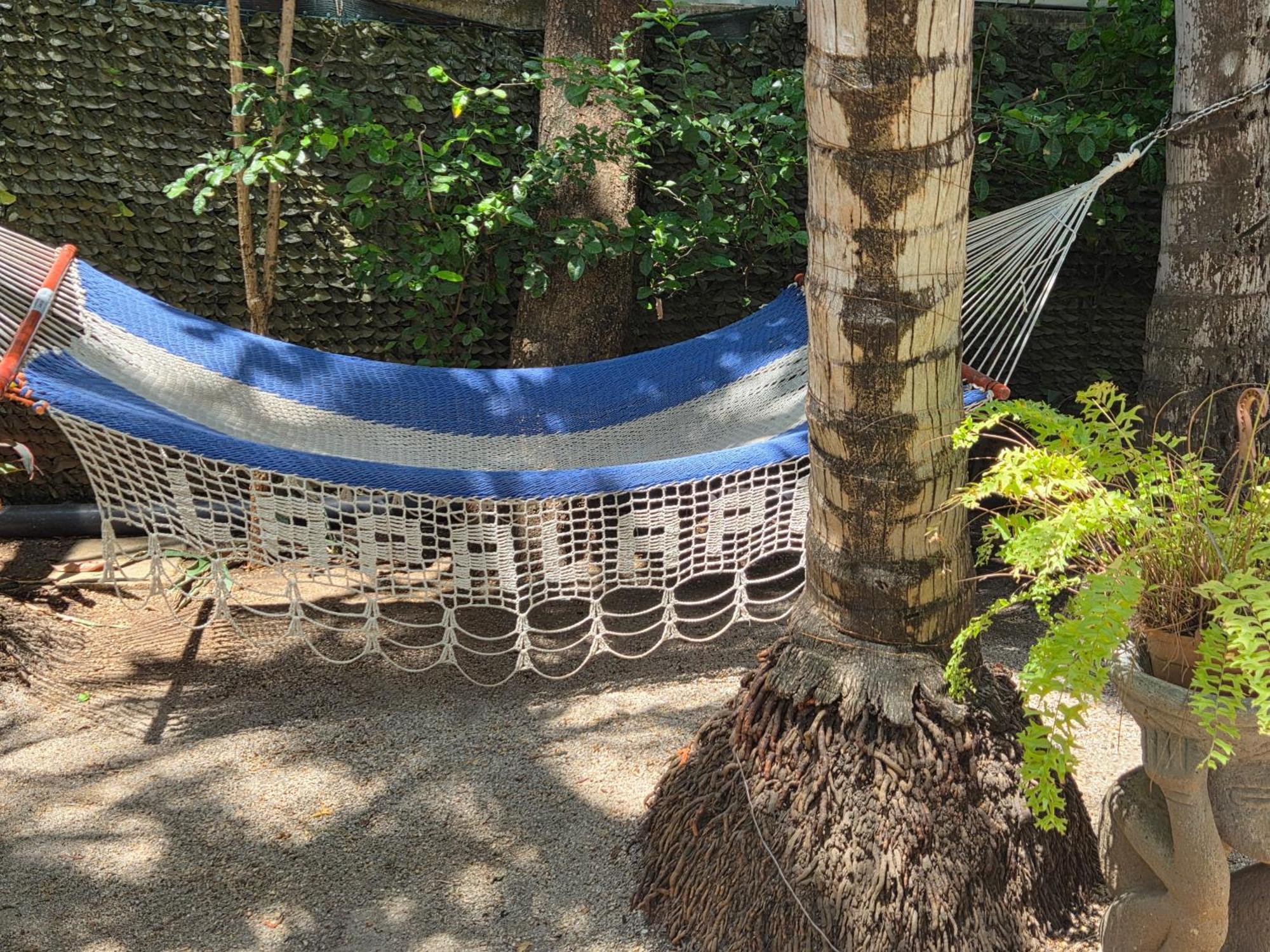 La Palapa Tamarindo