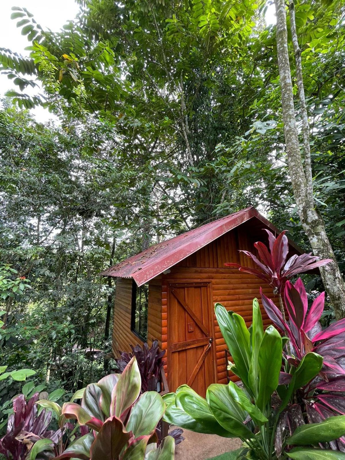 Arenal Rustic Lodge La Fortuna