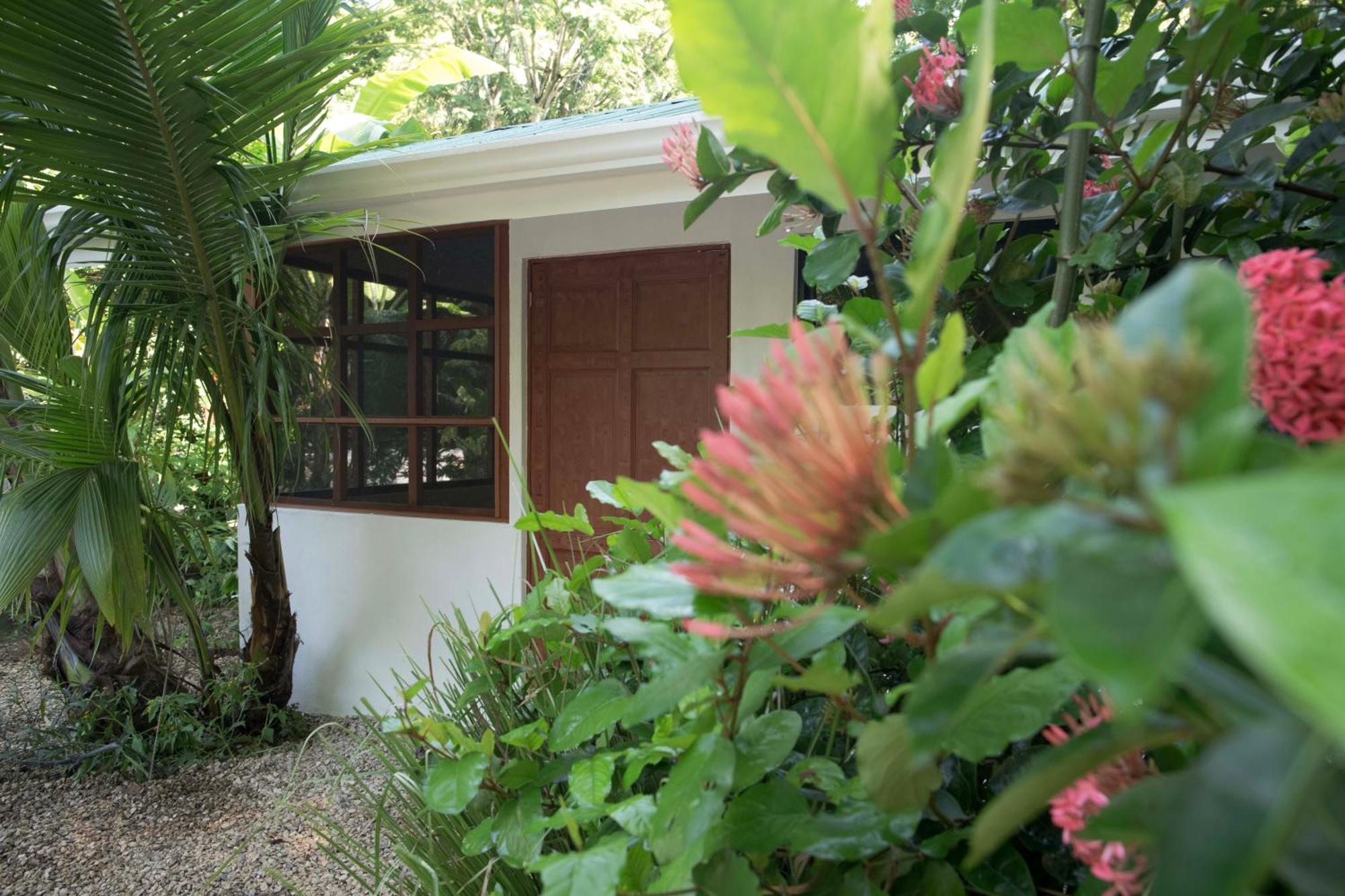 Jungle's Edge Hotel 3*